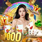 Blaze aposta app